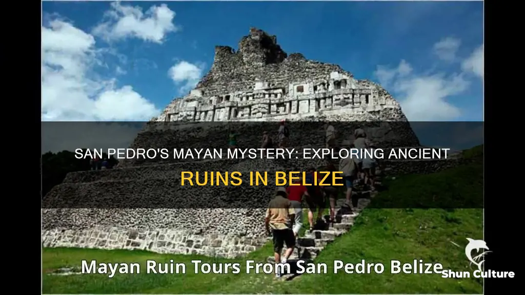 is there a mayan ruins in san pedro belize