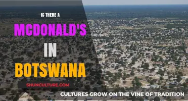 Exploring Botswana: Does McDonald's Have a Presence in the Country?