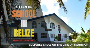 Belize's Medical Education: A Tropical Island Haven for Aspiring Doctors