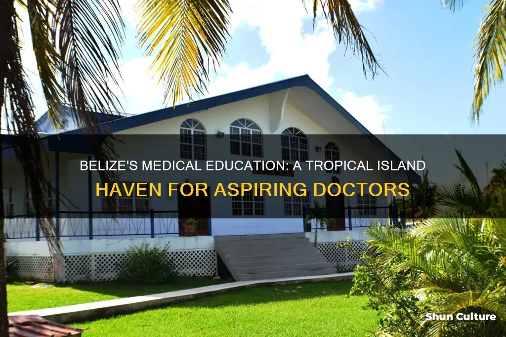 is there a medical school in belize