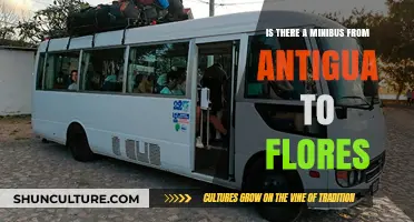 Traveling from Antigua to Flores: Minibus Options and Tips