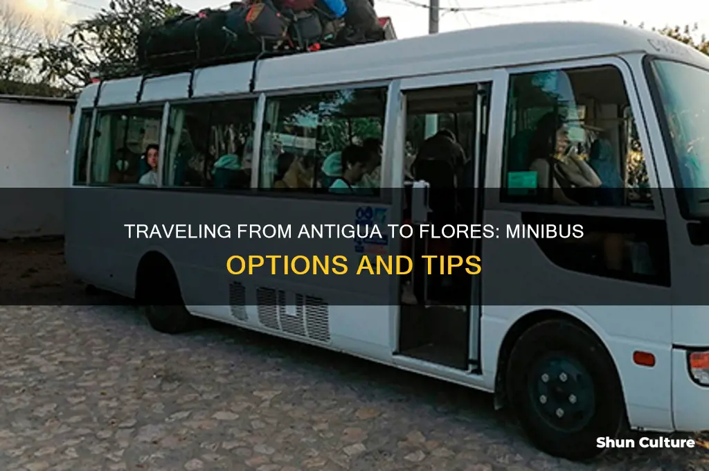 is there a minibus from antigua to flores