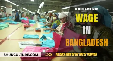 Exploring Bangladesh's Minimum Wage: Current Status and Economic Implications