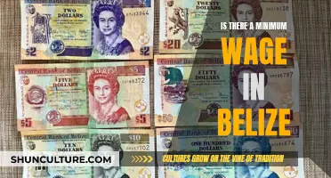 Belize's Minimum Wage Laws: Understanding the Basics