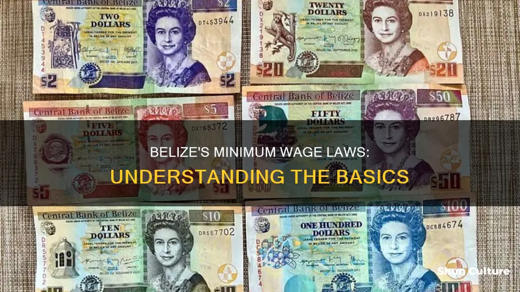 is there a minimum wage in belize