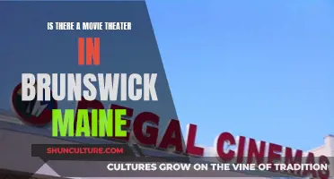 Movie Theater in Brunswick, Maine?