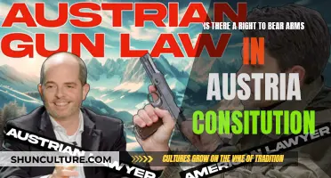 Austria's Constitution: Right to Bear Arms?