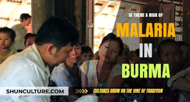 Exploring Malaria Risks in Burma: A Traveler's Guide