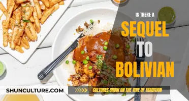 Bolivian Sequel: What to Expect from the Next Installment