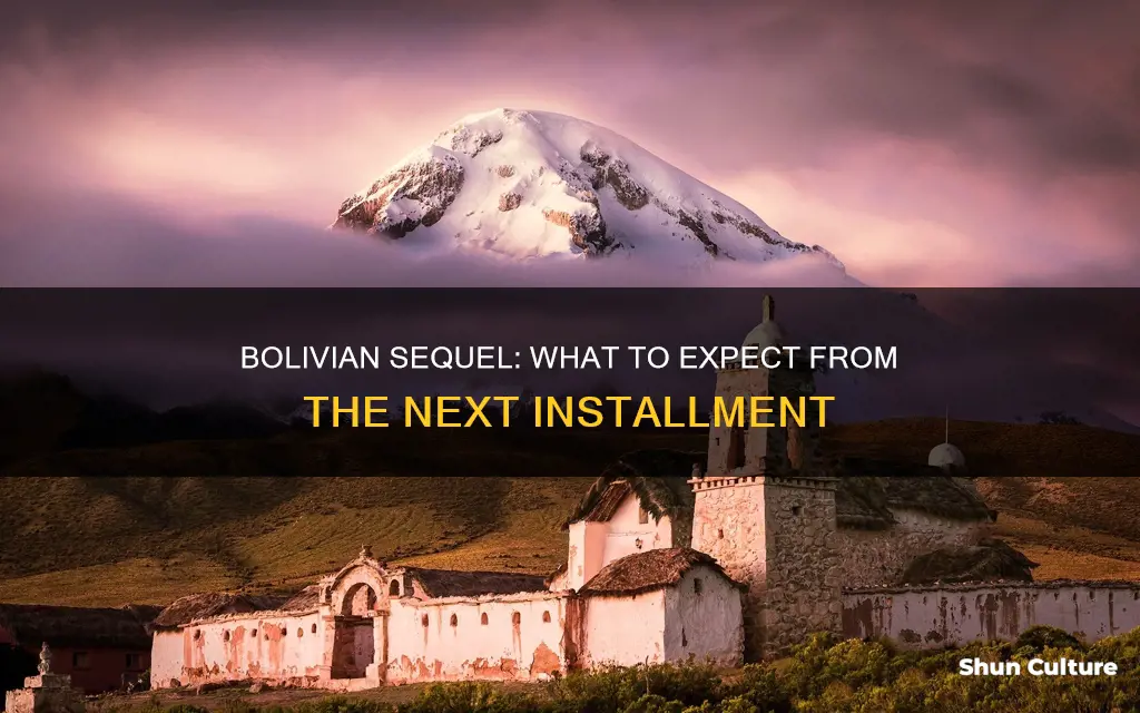 is there a sequel to bolivian