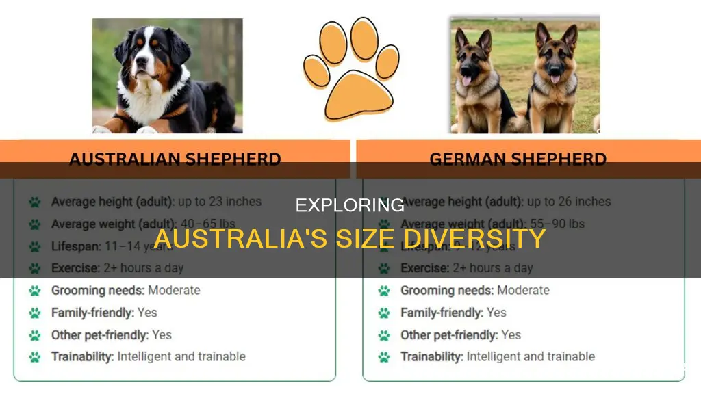 is there a size difference in australian