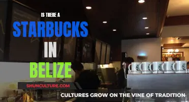 Starbucks in Belize: Is the Coffee Giant Present in This Tropical Paradise?