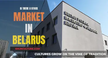 Belarus' Stock Market: Does It Exist?