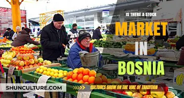 Exploring Bosnia's Financial Landscape: Does a Stock Market Exist?