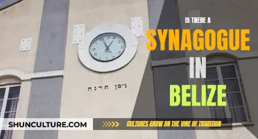 Synagogue Surprises in Belize: A Unique Cultural Blend