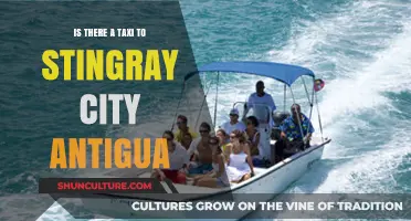 Exploring Antigua: Taxi Options for Visiting Stingray City