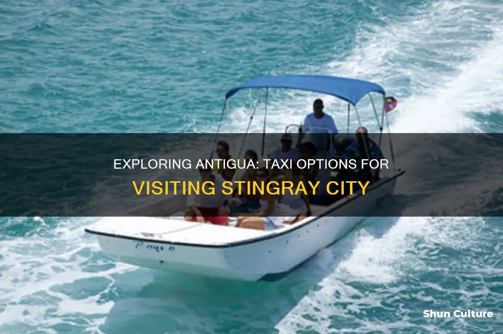 is there a taxi to stingray city antigua