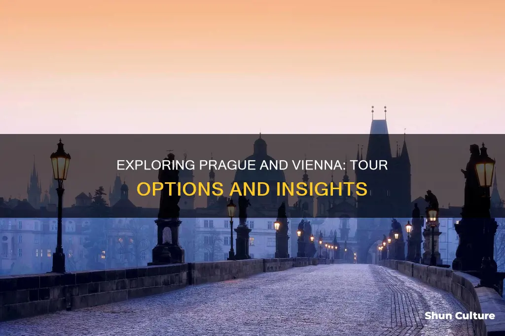 is there a tour from vienna austria to prague