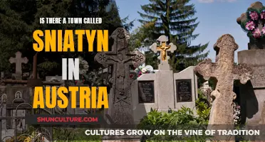 Austria's Sniatyn: A Town or a Myth?