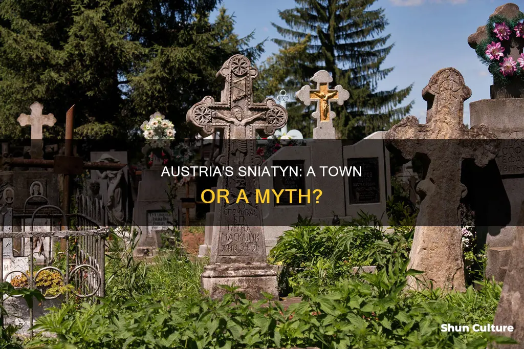 is there a town called sniatyn in austria