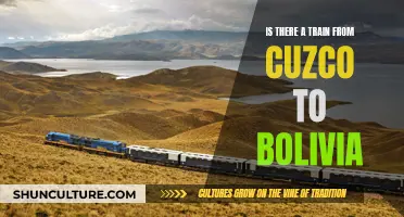 Travel Guide: Train Trip from Cuzco to Bolivia