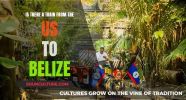 Transcontinental Travel: Exploring the Possibility of a Train Journey from the US to Belize