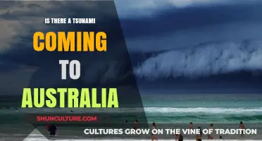 Australia's Tsunami Risk: What's the Reality?