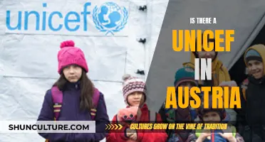 UNICEF in Austria: Presence and Impact