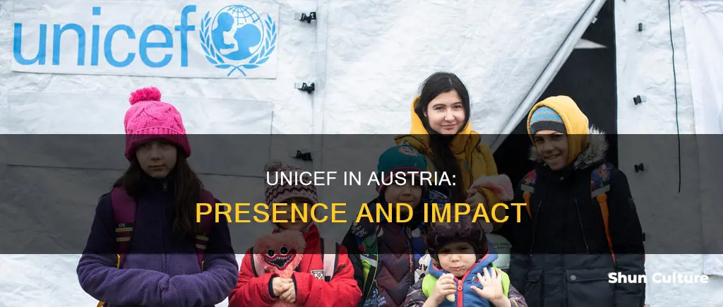 is there a unicef in austria