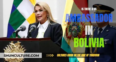 US-Bolivia Relations: Ambassador's Absence and Its Impact