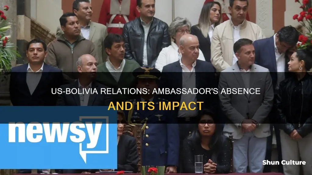 is there a us ambassador in bolivia