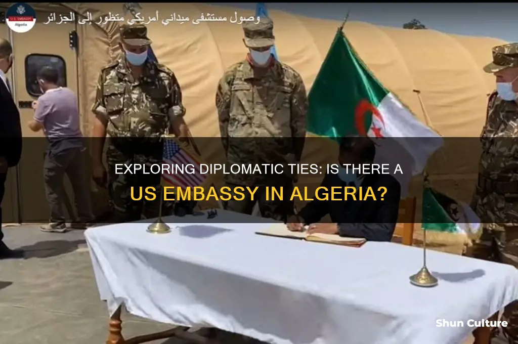is there a us embassy in algeria