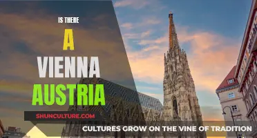 Vienna, Austria: A Cultural Hub of Europe