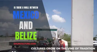 The Great Divide: Exploring the Barrier Between Mexico and Belize