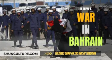 Bahrain's Turbulent Times: War or Peace?