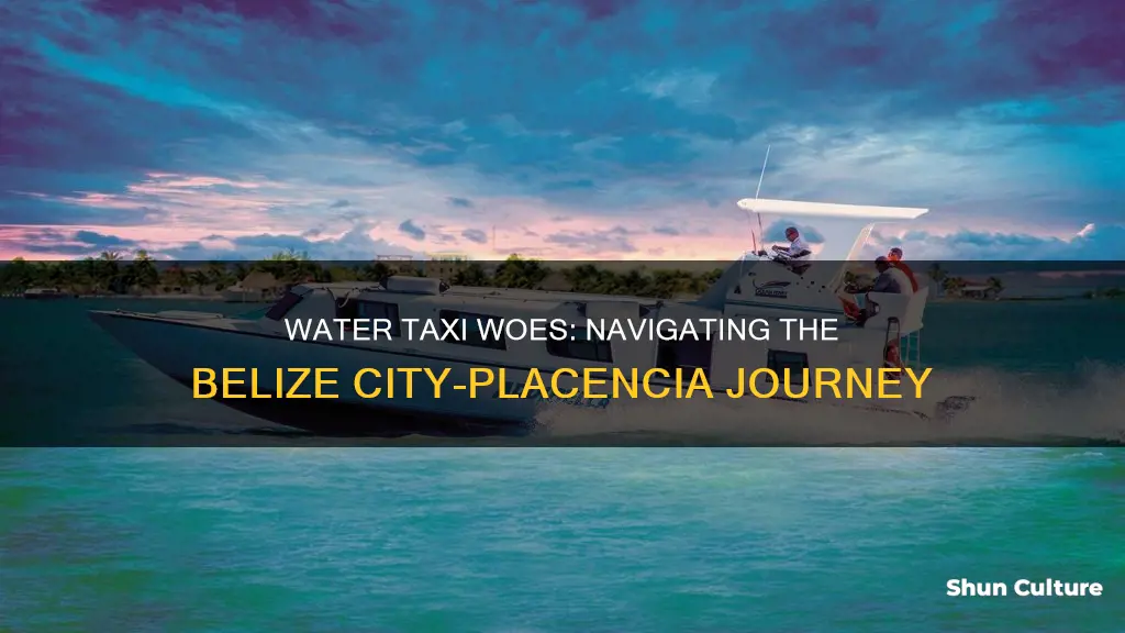 is there a water taxi from belize city to placencia