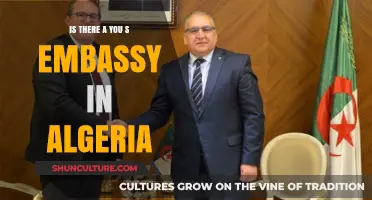 U.S. Embassy in Algeria: Location, Services, and Contact Information