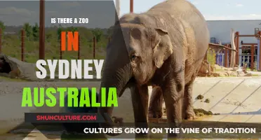 Exploring Sydney's Wildlife: Is There a Zoo in the City?