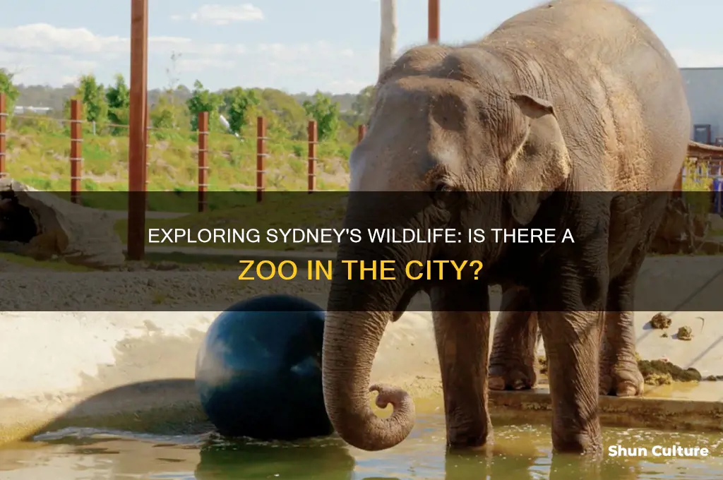 is there a zoo in sydney australia