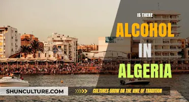 Exploring Algeria's Alcohol Laws: Availability, Culture, and Restrictions