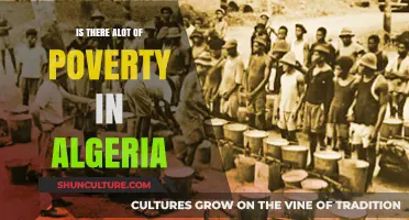 Exploring Algeria's Poverty Crisis: Causes, Impact, and Potential Solutions