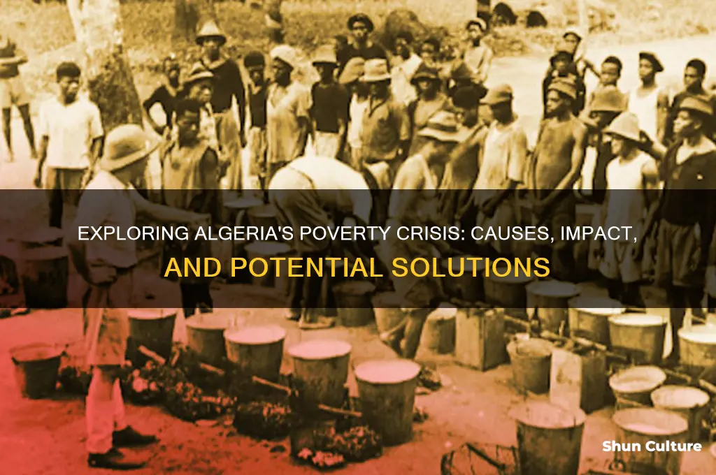 is there alot of poverty in algeria