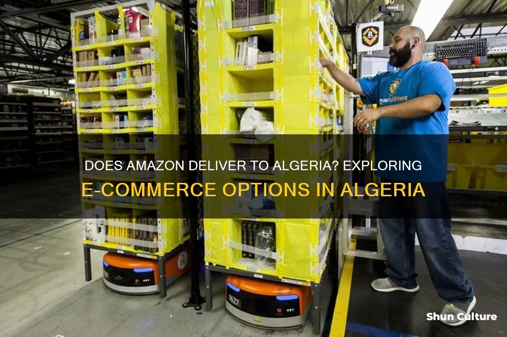 is there amazon in algeria