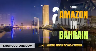 Amazon's Presence in Bahrain: Exploring the Online Retail Landscape