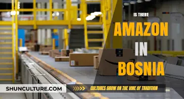 Does Amazon Deliver to Bosnia? Exploring Online Shopping Options