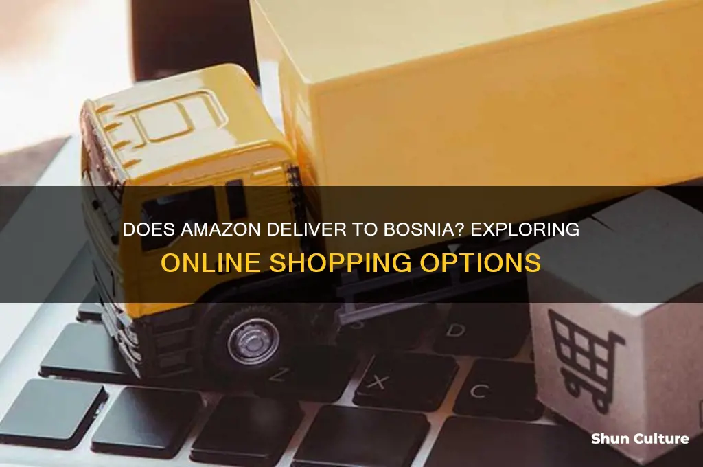 is there amazon in bosnia
