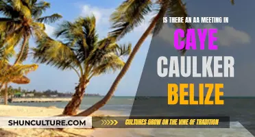 Finding Sobriety in Paradise: AA Meetings in Caye Caulker, Belize