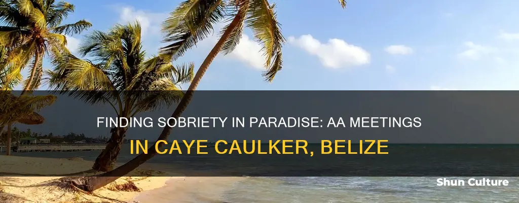 is there an aa meeting in caye caulker belize