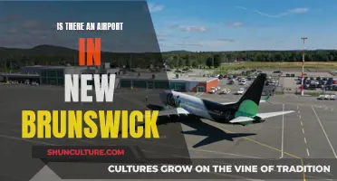 The Aviation Landscape of New Brunswick: Exploring Airport Accessibility