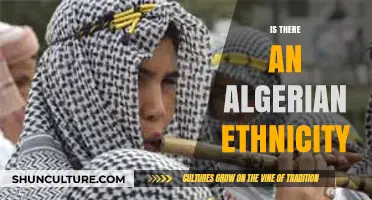 Exploring Algerian Identity: Ethnicity, Culture, and National Unity